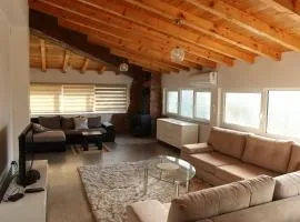 Apartments-Asquiro