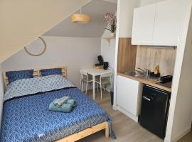 Joli studio plein centre proche Gare Orléans, hotel v destinaci Orléans