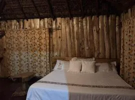 Podocarpus Cottages -02