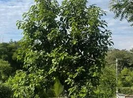 Casa quinta con psicina