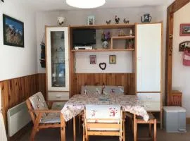 Charmant 2 pièces avec balcon et vue sur montagne - FR-1-515-235