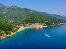 aaa