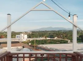 Jeju Palm Spa Pool Villa