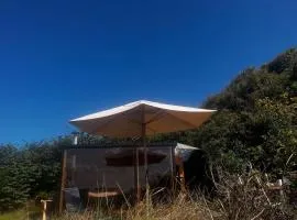 101 The Unique View Cabin