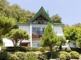 Inje Hachuri Undeokwi Hayanjib