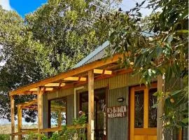 Accessible, Inclusive studio, Barossa Valley SA - It's Bonza at Mill About Vineyard