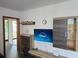 Tatras Apartment City Center