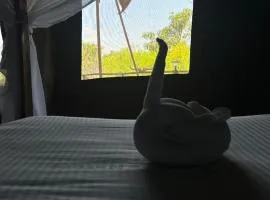 Eco Mara Tented Camp