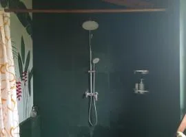Oldy House