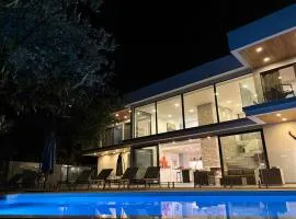 Luxurious contemporary villa with pool