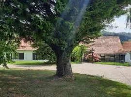 Le Clos Saint Martin