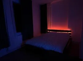 TS House
