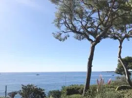 Cannes directly by the Sea