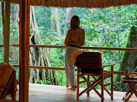 Koroi Forest Camp