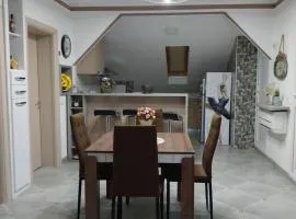 Park Apartment