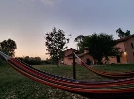 Escuelita Viva