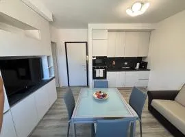 Lecco Deluxe Apartment