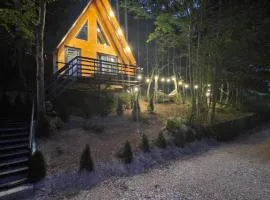 Visitor Place