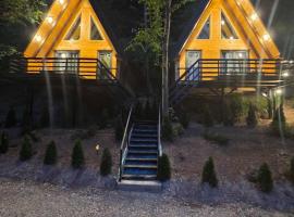 Visitor Place, hotel com estacionamento em Plav