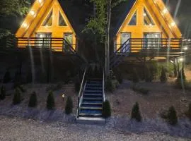 Visitor Place