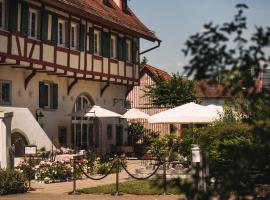 SeeHotel Amtshof, hotell i Langenargen