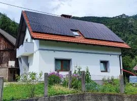 Apartma Mlinca