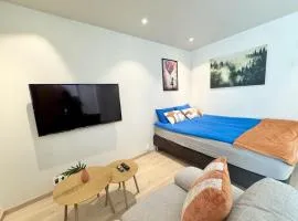 Chic and Modern Studio - Central