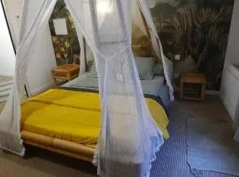 CHAMBRES DE L'ORATOIRE-climatisées, Impasse calme, lumineuse, centre ville, Pézenas