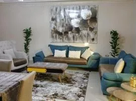 Fully Brand New Furnished Apartment