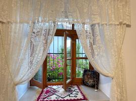 Mezini Guest House, villa in Gjirokastër
