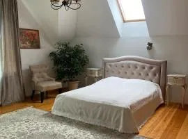 Privatus Apartamentai Akademijoje
