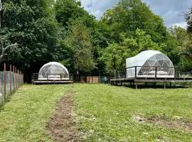 Nikorstminda glamping - Batoni's forest