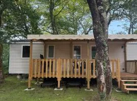 Mobil home B1Bis La Pointe LB