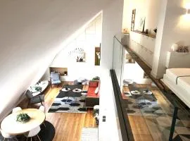 Duplex Hyper Centre, Vue MontBlanc Chamonix