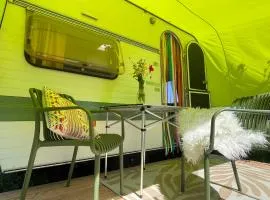 Cute little caravan for 2 in old orchard