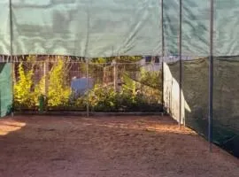 Ampelonas camping