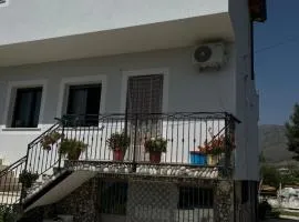 Holiday House