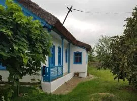 Căsuța de chirpici