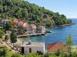 Seaside secluded apartments Cove Tvrdni Dolac, Hvar - 12655