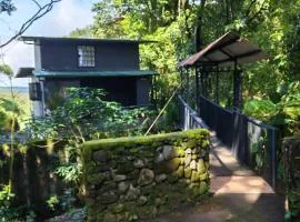 Casita Colibrí