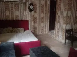 Lahore Palace