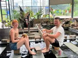 CATBA PANDORA Hotel & Travel