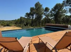 Villa 13 personnes - 1 hectare de parc naturel - piscine