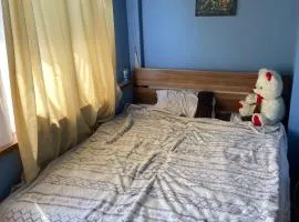 Appartment on Duryan Street, Avan