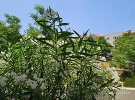 Blife Candya private apartment