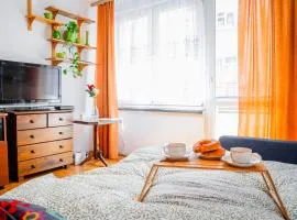 Kraszewskiego Apt - Balcony, Park & River nearby - by Rentujemy