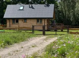 Hygge z kominkiem i sauna Piasek Cedynia Chojna