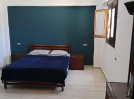 Blou 11