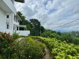Shiro in Kandy