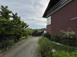 Holiday house IDa